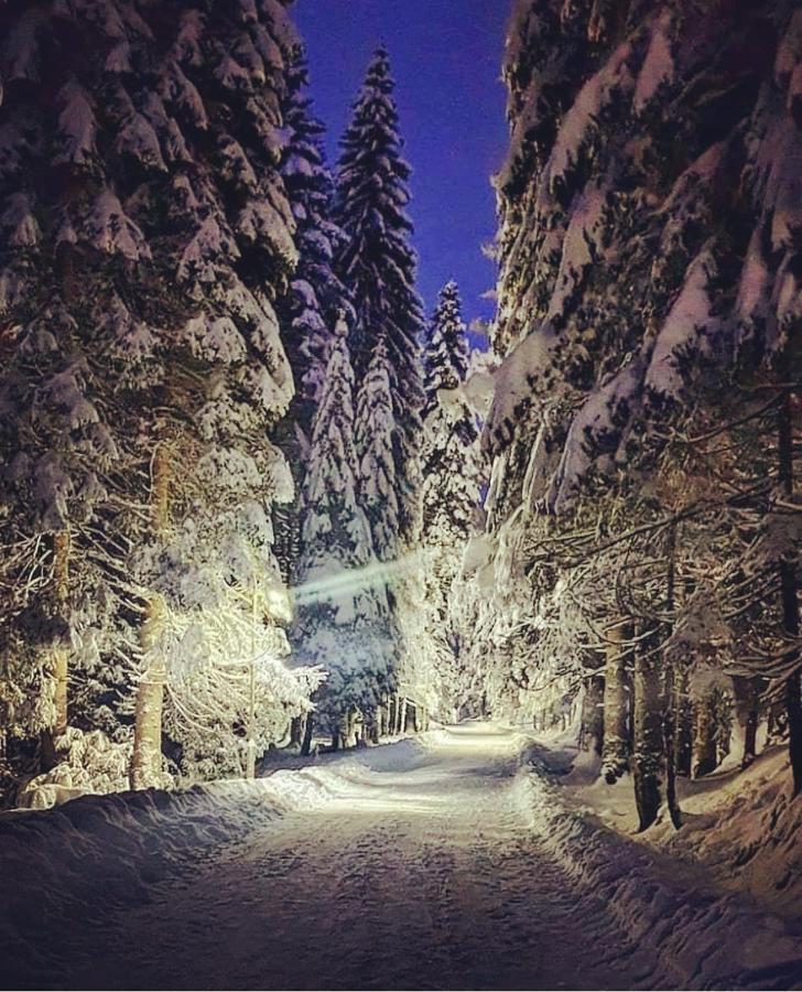 Apartmani Bozana Vojinovic Žabljak Exterior foto